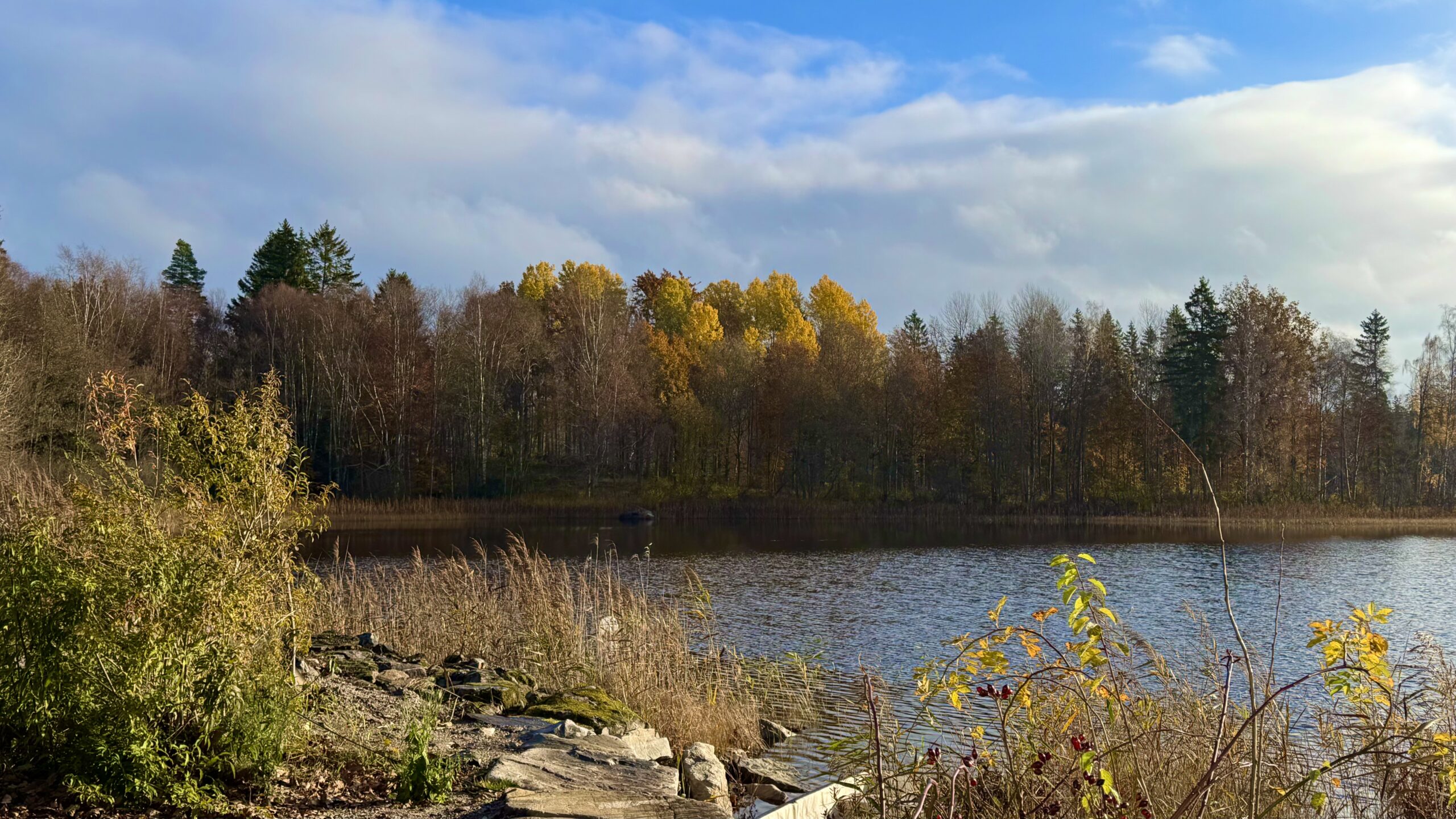 Autumn is not an off-season