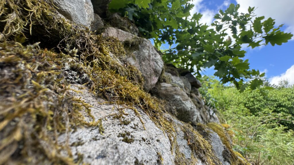 Rocks and woodland around Rågeboda